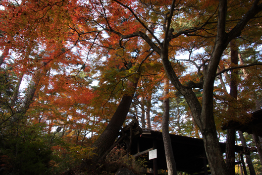 鐘山の滝3