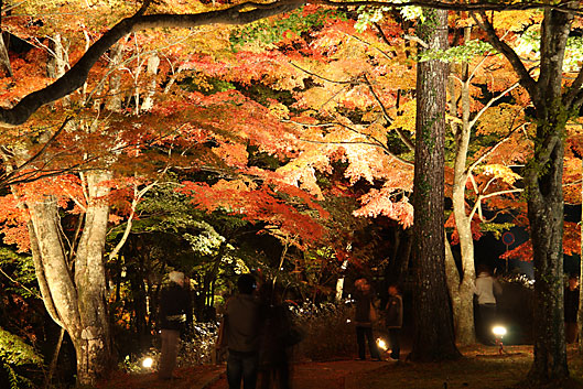 旭日丘湖畔緑地公園3