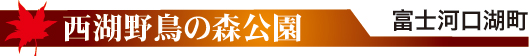 富士河口湖町西湖野鳥の森公園タイトル