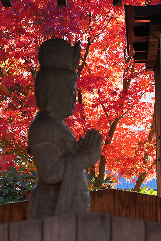 蓮華寺