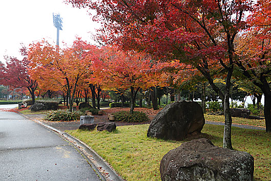 小瀬スポーツ公園2