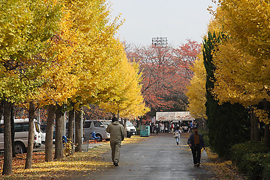 小瀬スポーツ公園5