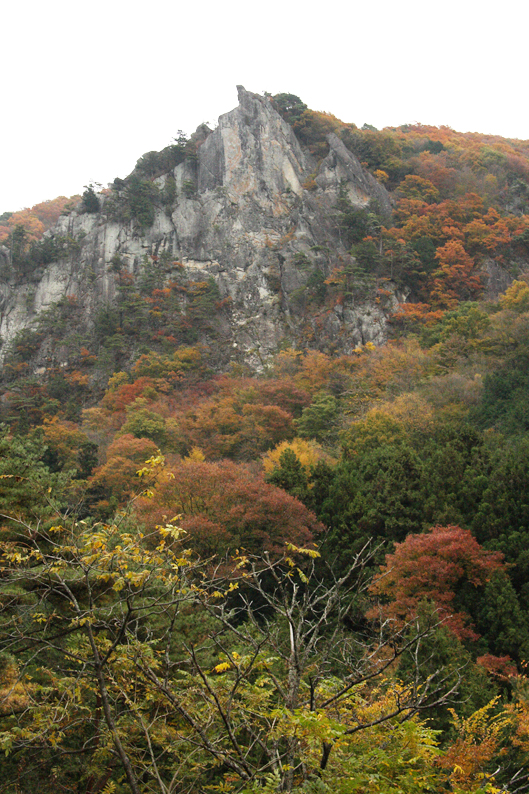 太刀岡山1