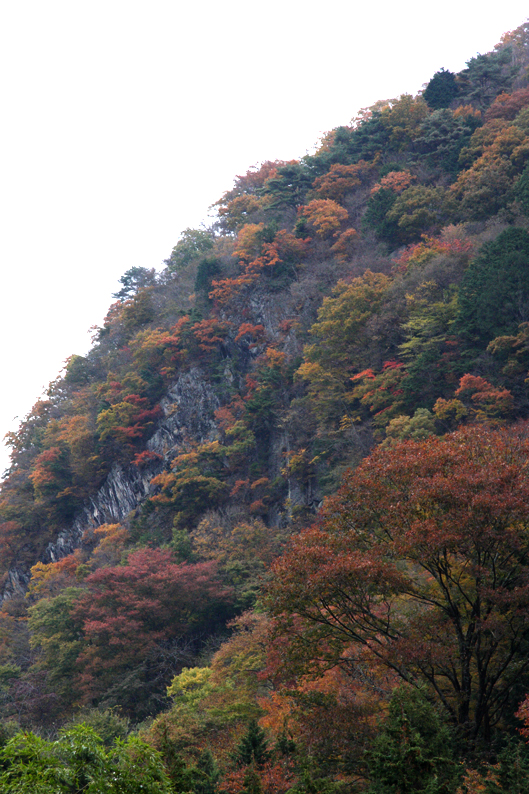 太刀岡山2