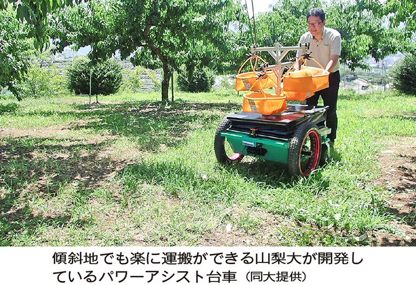 【山梨県】フルーツ王国　スマート化を模索
