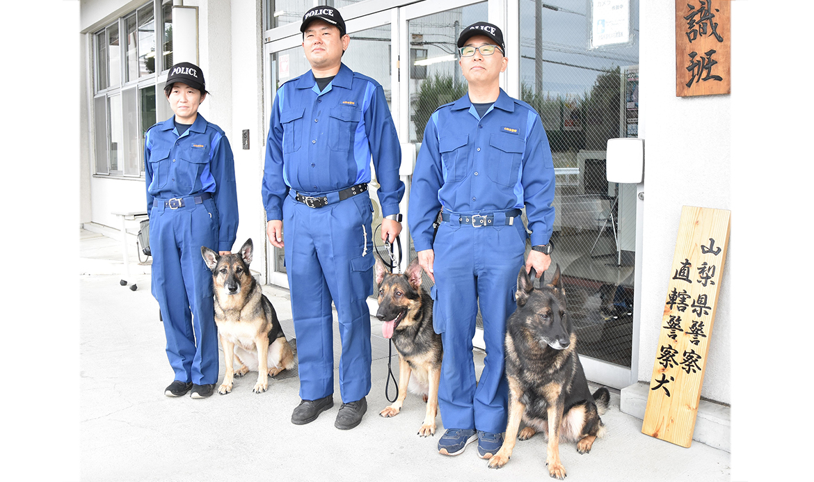 【山梨県】　警察犬　手がかりは臭いだけ