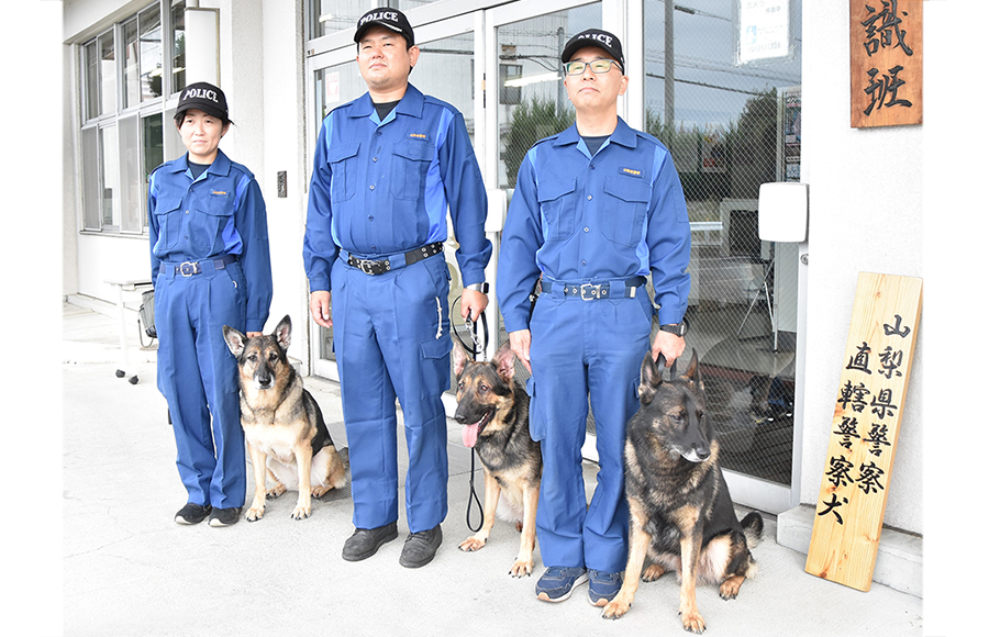 【山梨県】　警察犬　手がかりは臭いだけ