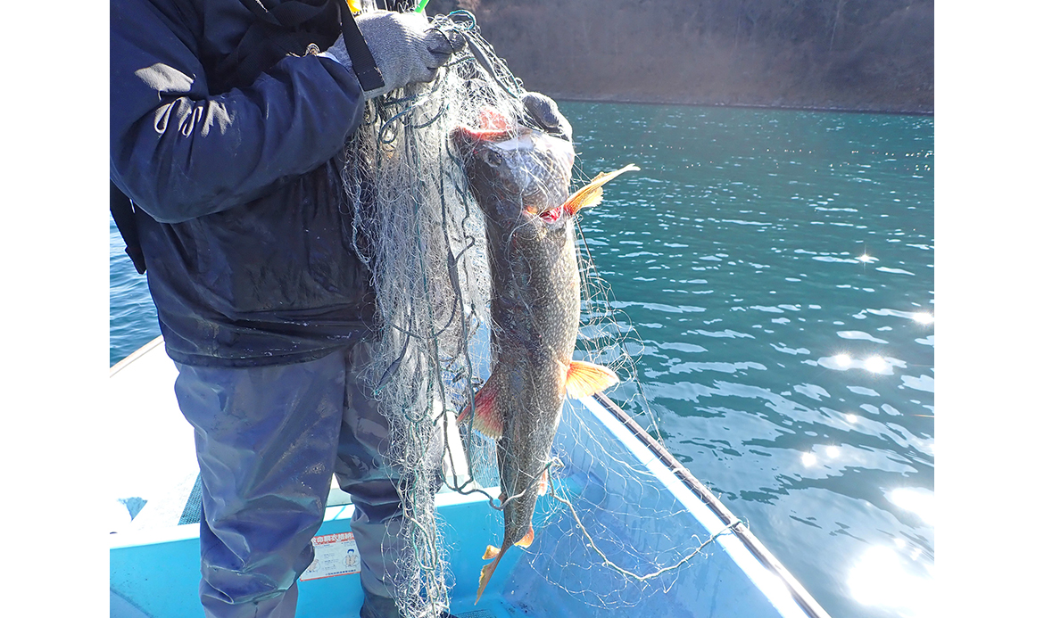 【山梨県】　本栖湖で異変　ヒメマス解禁 初の見送り